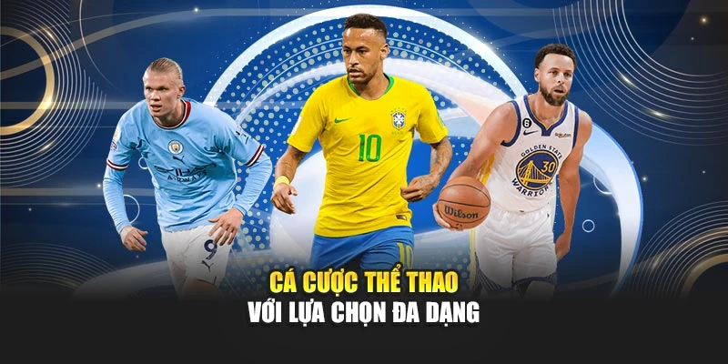 Cá cược thể thao với lựa chọn đa dạng