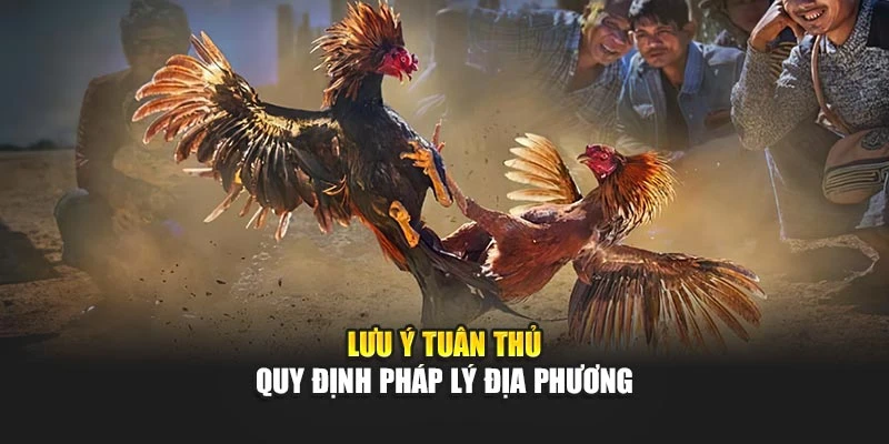 Lưu ý tuân thủ quy định pháp lý địa phương