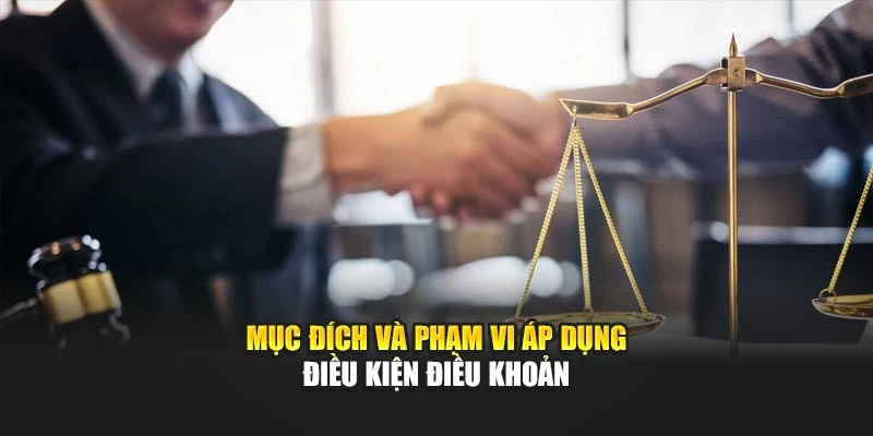 Mục đích và phạm vi áp dụng điều kiện điều khoản